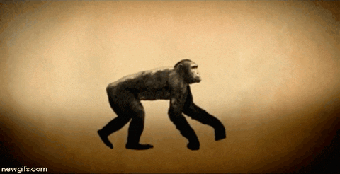 evolution humans GIF