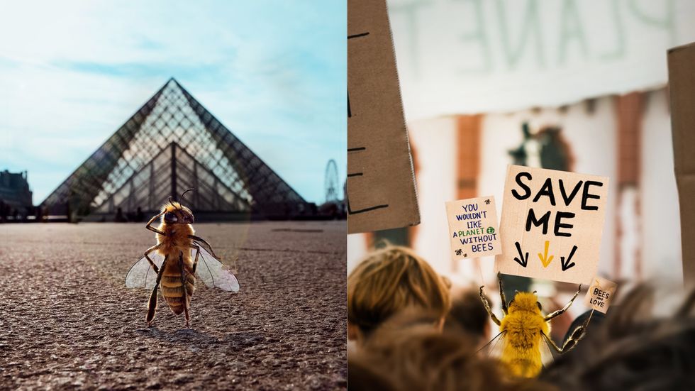 Conservation Foundation Creates Adorable 'Bee Influencer' In The Fight To Save The Bees
