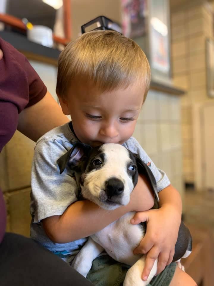 Bentley with Lacey the puppy, who has a cleft lip