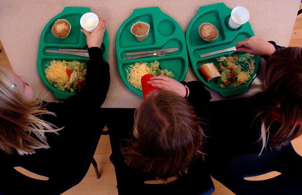 Study Finds That Kids Are Actually Quite Receptive To Seeing Insect-Based Meals On The School Lunch Menu