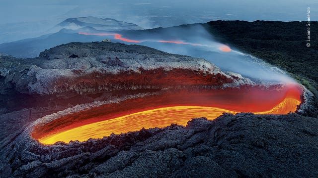 Wildlife Photographer of the Year 2020 winners