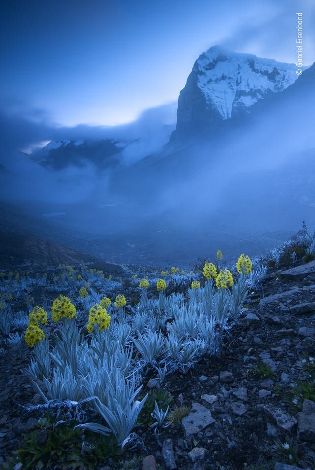 Wildlife Photographer of the Year 2020 winners