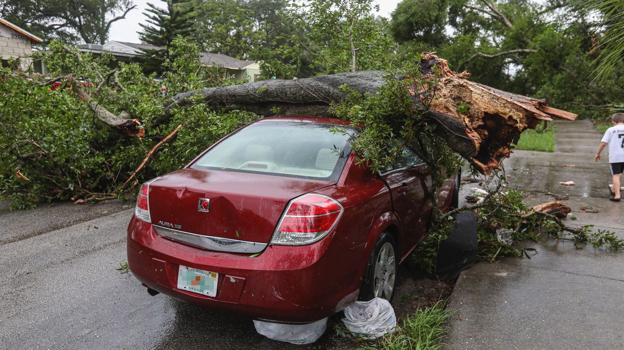 Fallen tree on top of a red car in the road
