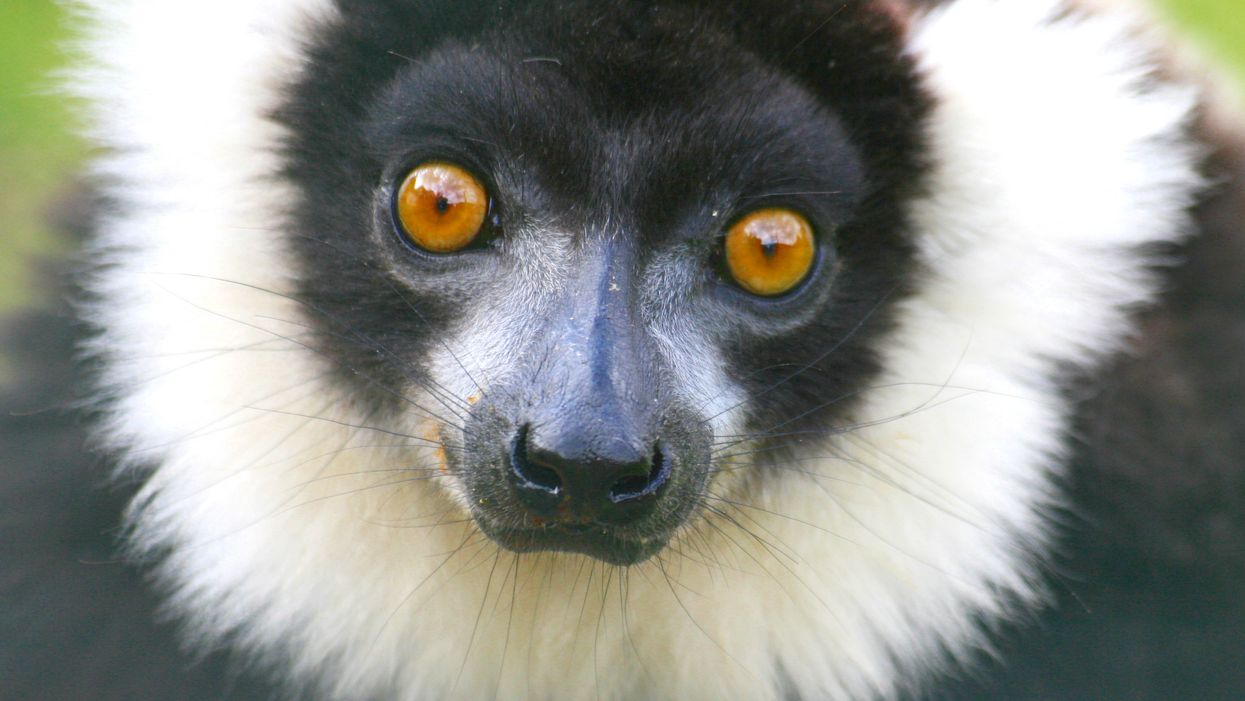 People Share The Strangest Thing They've Ever Walked In On