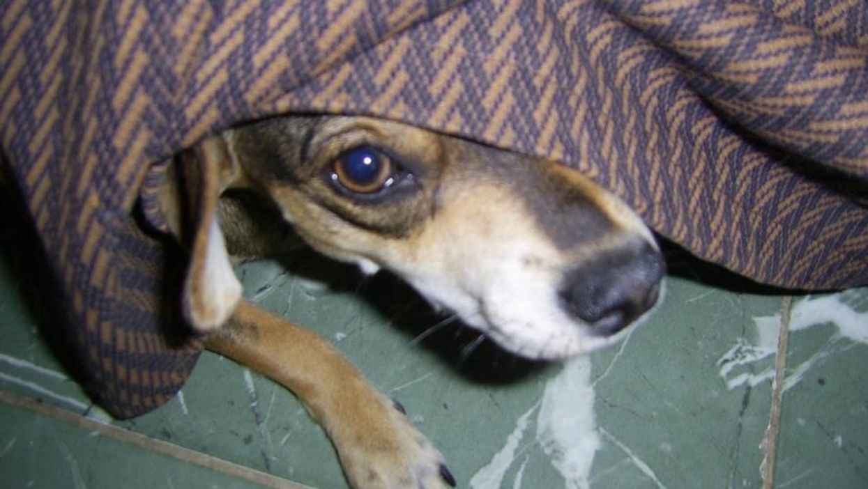 People Break Down The Scariest Thing That's Ever Woken Them Up From A Deep Sleep