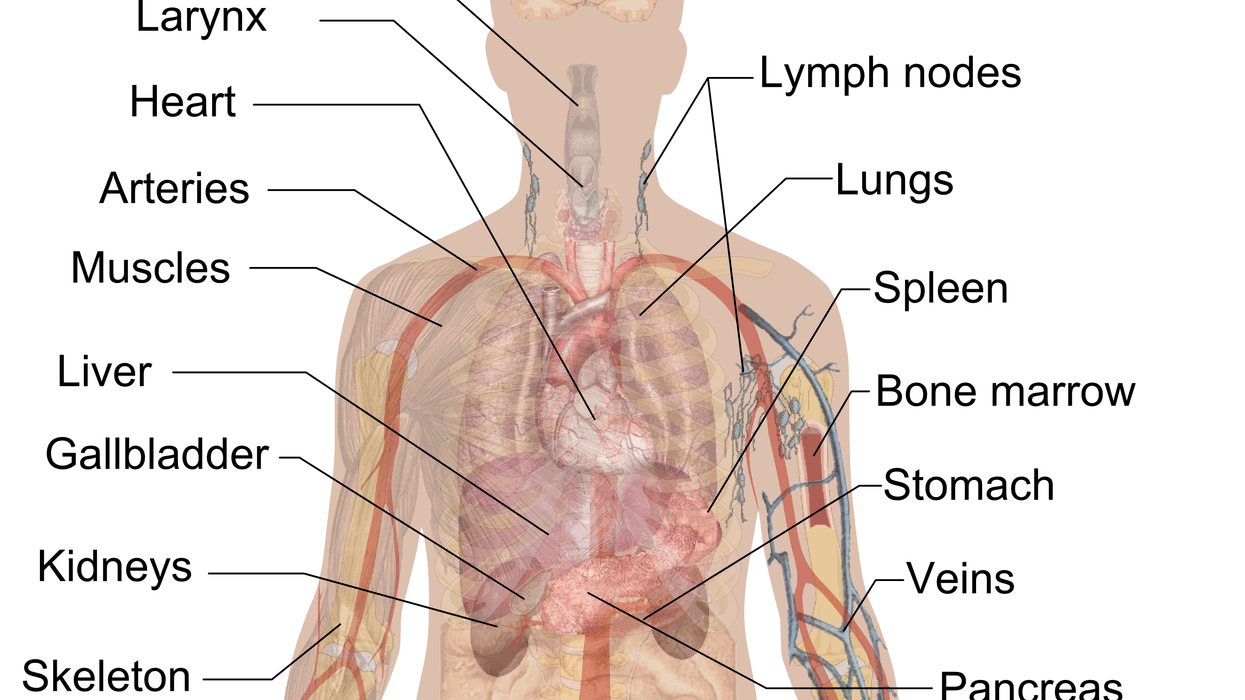 People Describe The Weirdest Thing Their Body Does That They've Just Accepted