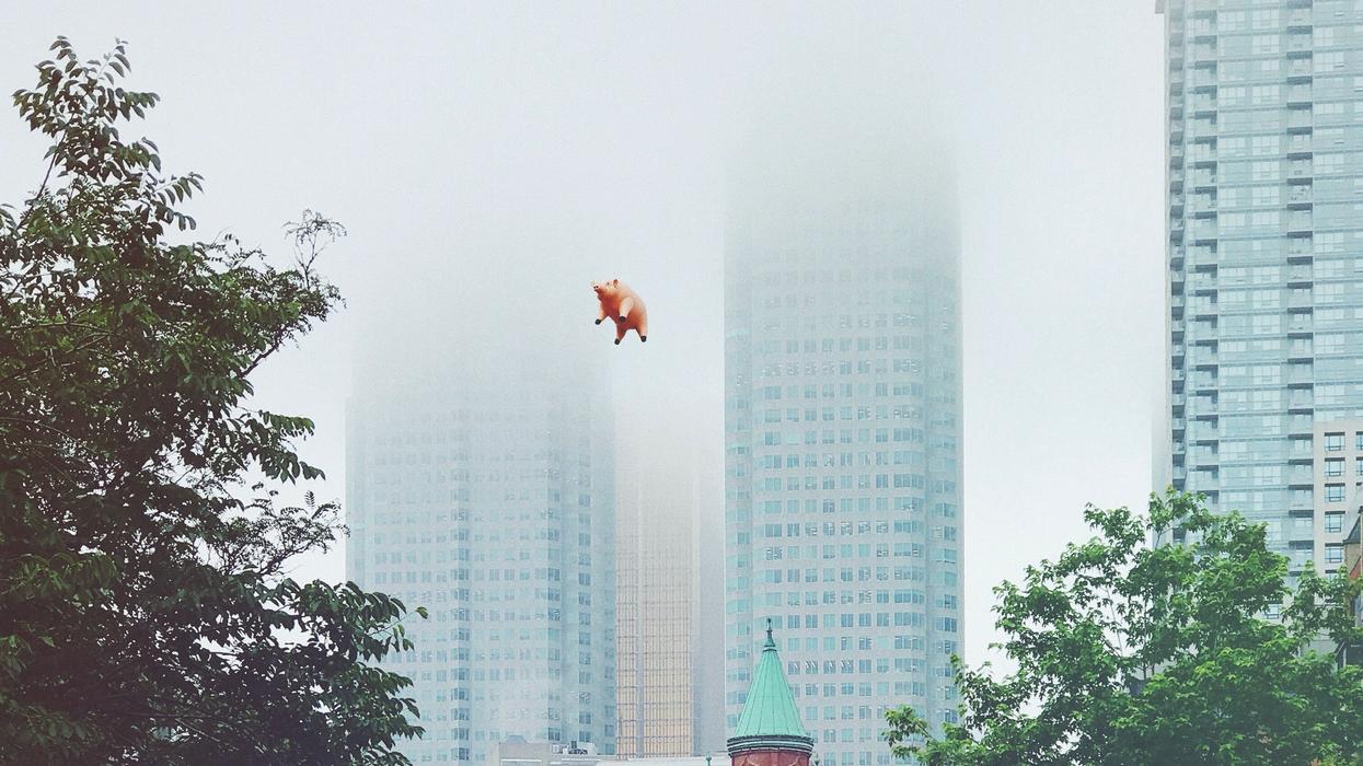 flying pig during daytime