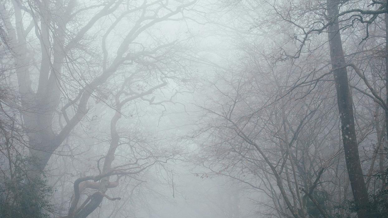 foggy road