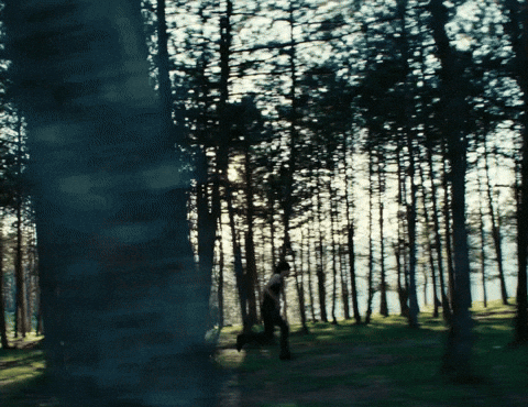 forest GIF by glaive