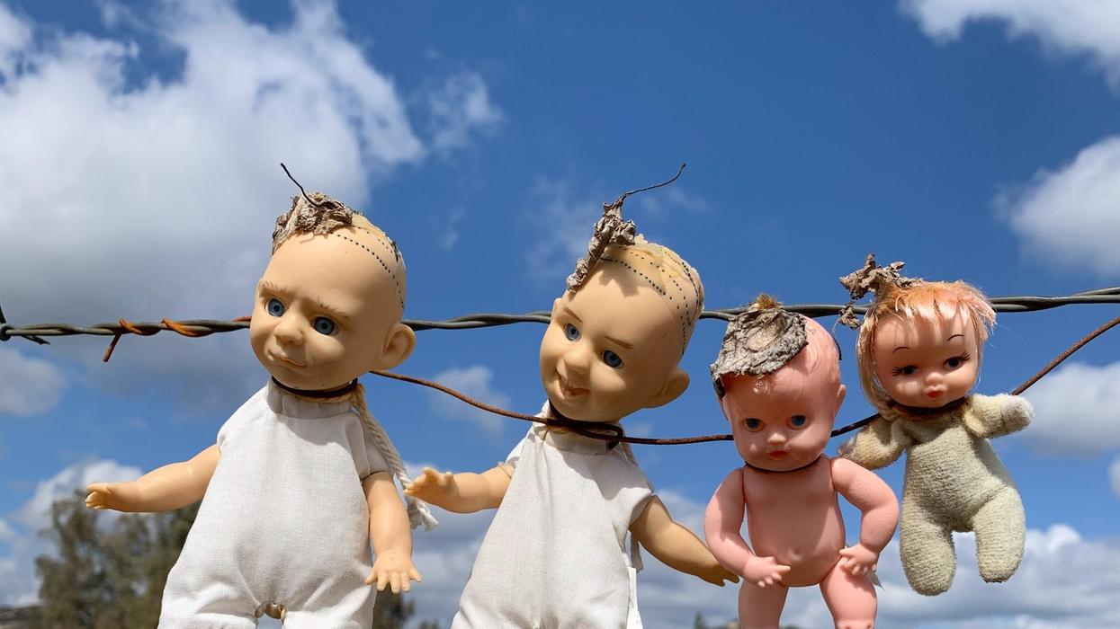 Four small baby dolls hang from a barb wire fence