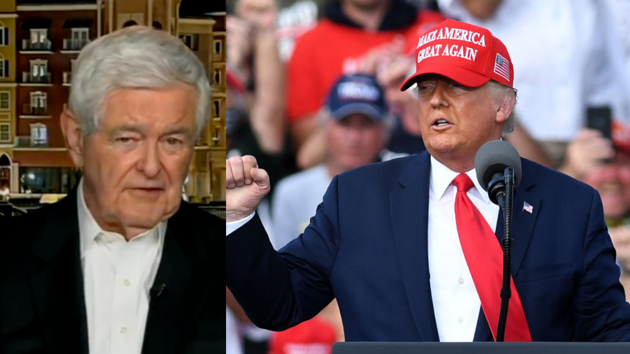 Fox News screenshot of Newt Gingrich; Donald Trump