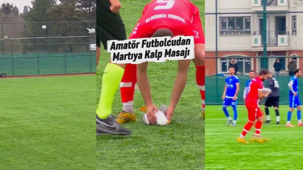 Gani Catan (in red) performs CPR on a seagull during an Istanbul First Amateur League playoff match after the bird was struck by a ball mid-game.