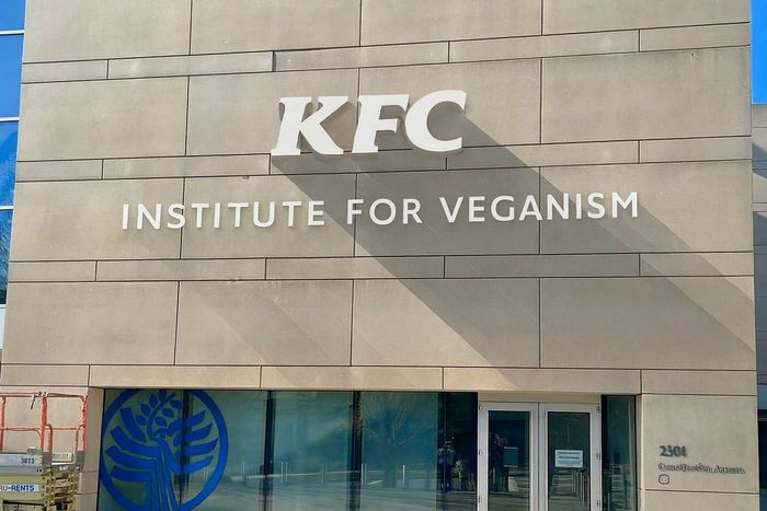 gavin-newsom-s-kfc-meme.jpg?id=62282333&width=700&quality=55