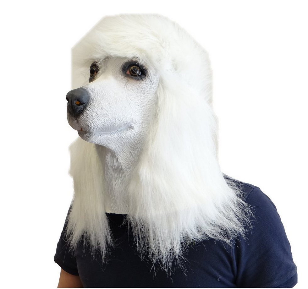 Get the French Poodle Dog Mask on Amazon