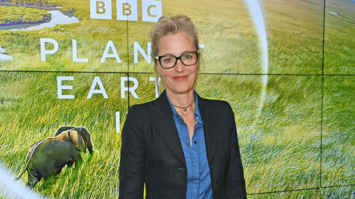 Gillian Anderson