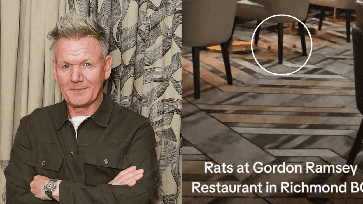 Gordon Ramsay; Rodents in Gordon Ramsey steakhouse