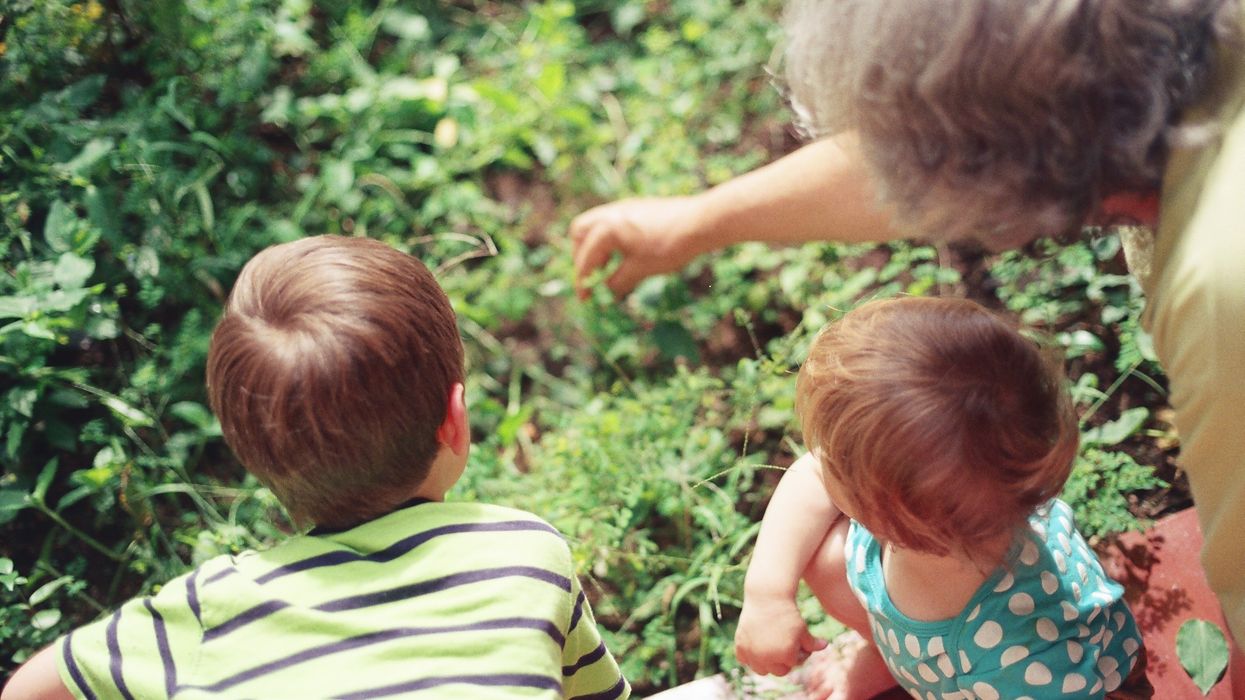 grandmother teaching two grandchildren in the woods