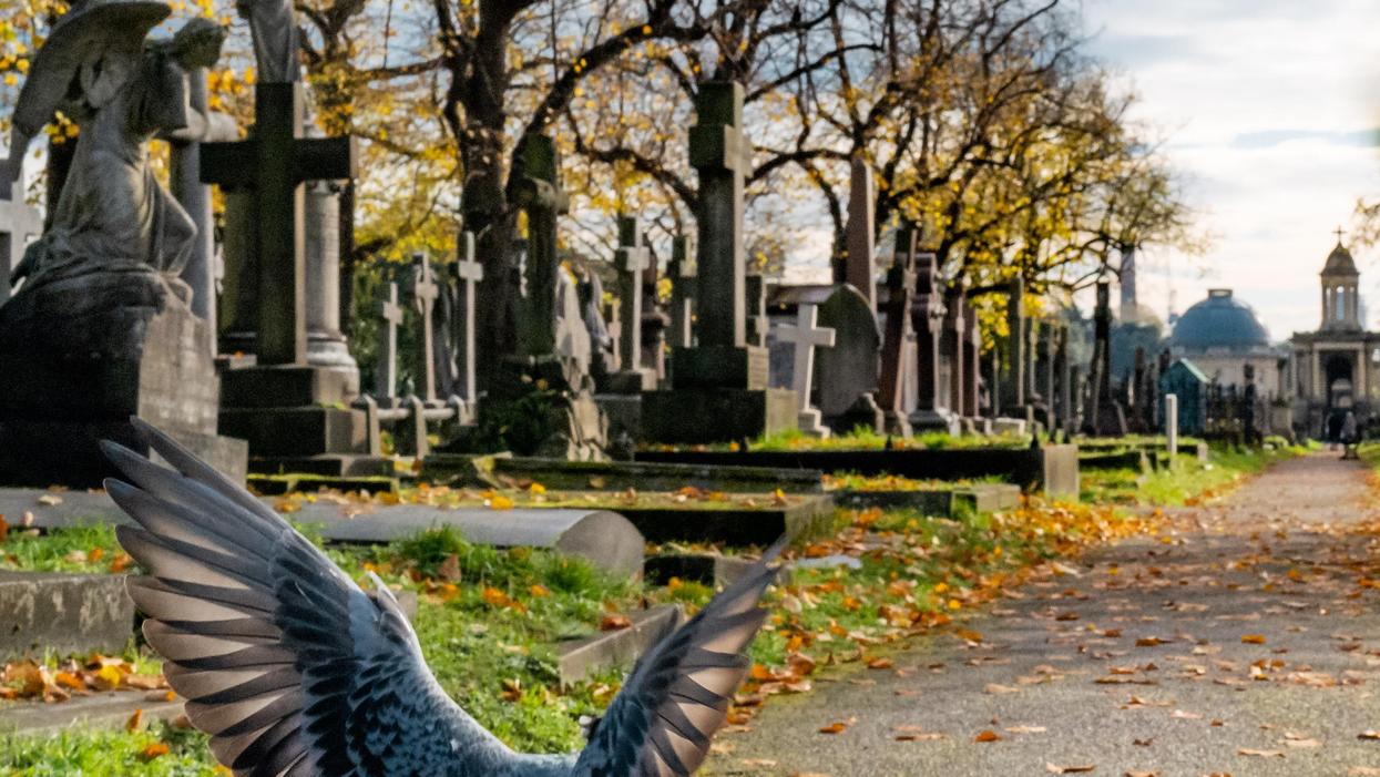 People Confess The Real Reason They Aren't Scared Of Death
