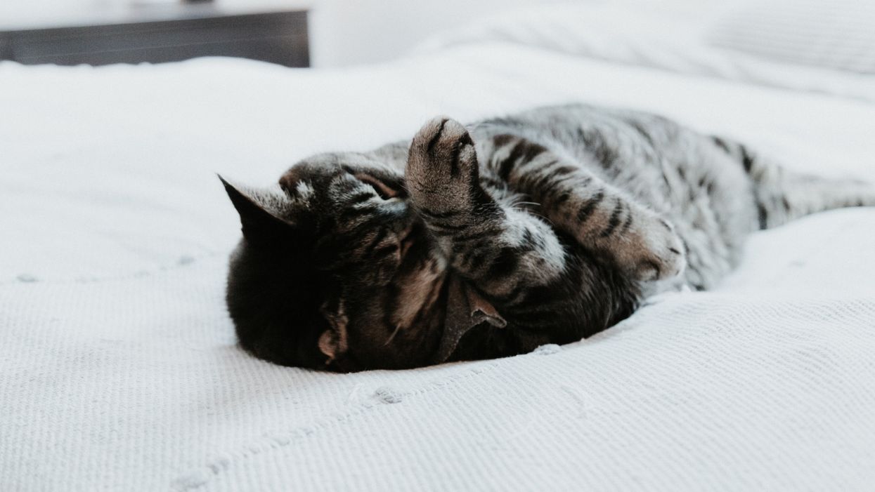 People Explain Which Dare They Absolutely Regret Going Through With