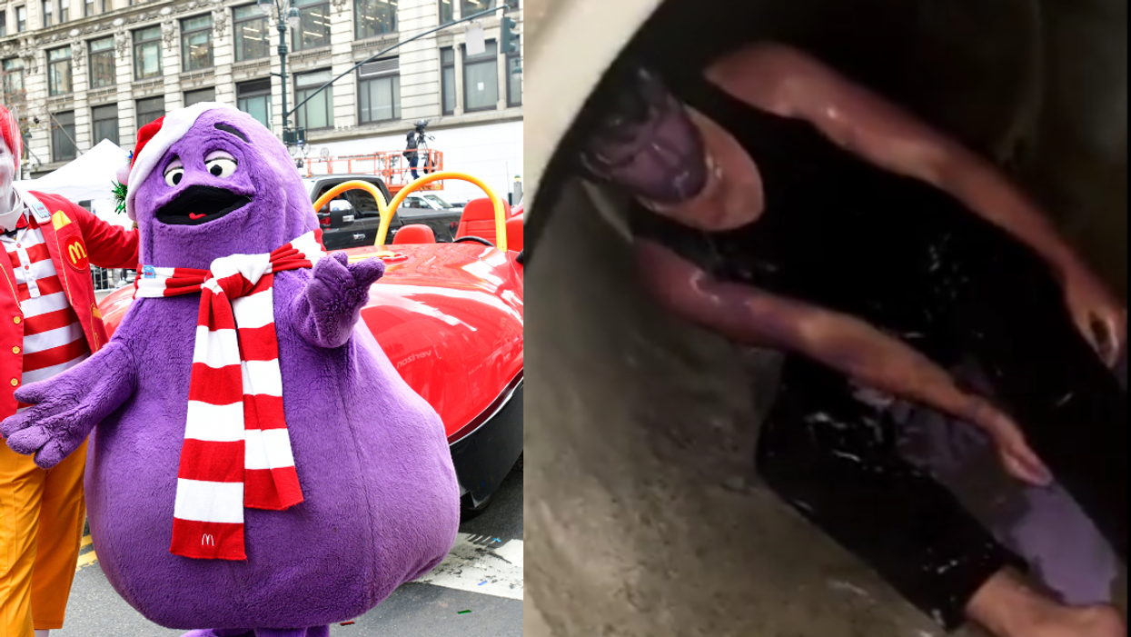 Grimace and Ronald McDonald;screenshot from a TikTok video
