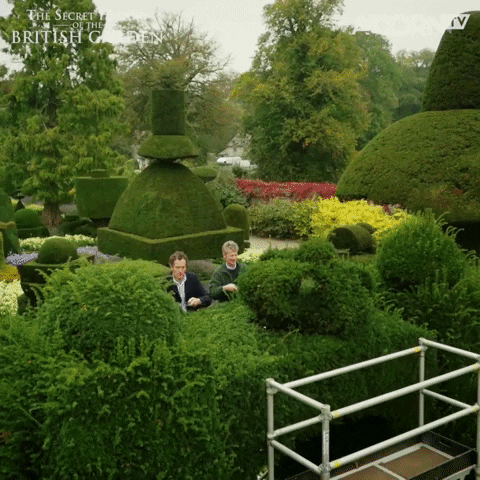 grooming British GIF by Acorn TV