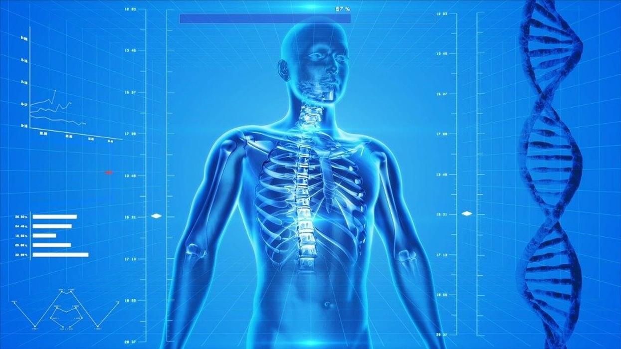 People Break Down Strange Yet Totally True Facts About The Human Body