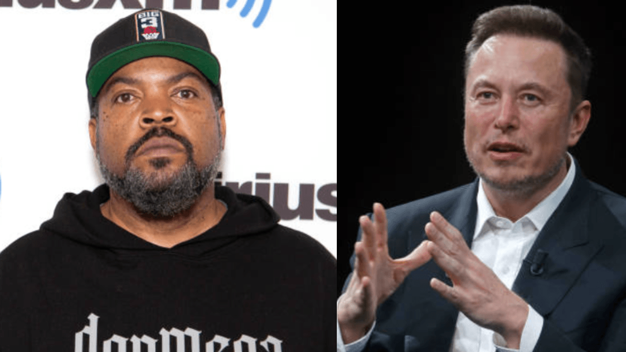 Musk Cube Ice Cube Mocks Twitter After Musk Mocks His Age: PHOTOS - Comic Sands