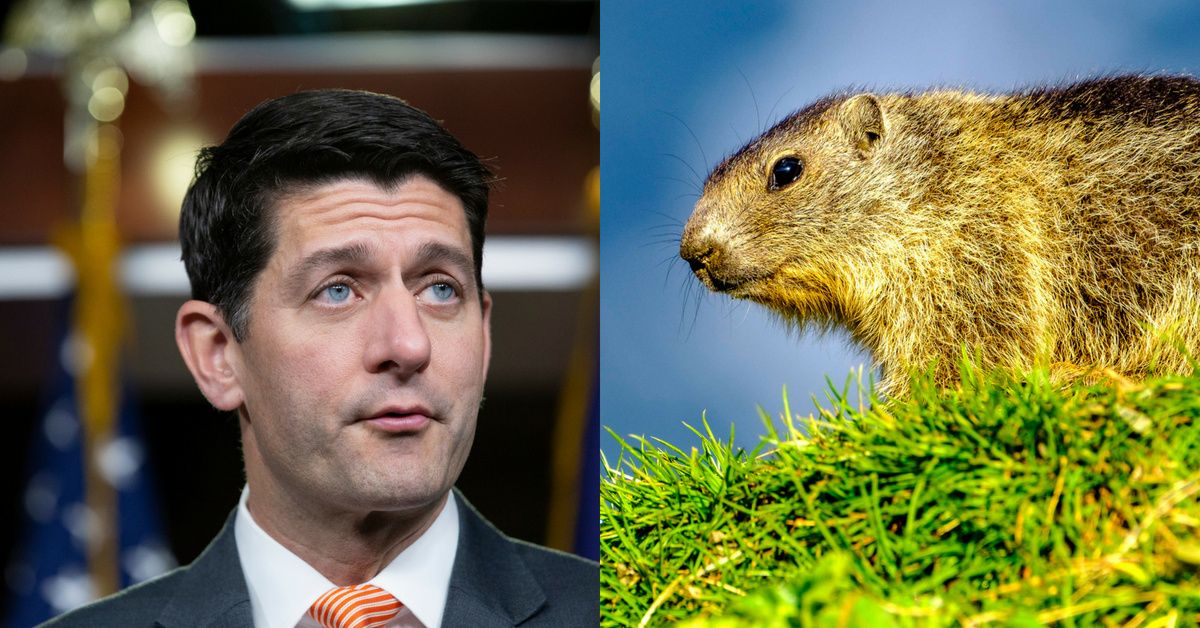 Apparently, Even Woodchucks Hate Paul Ryan