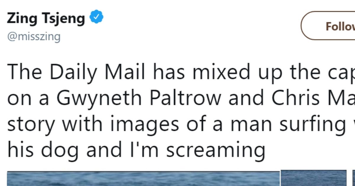 Daily Mail Mixes Up Photos of Gwyneth Paltrow And Chris Martin With A Man And Dog Surfing And It's Better This Way