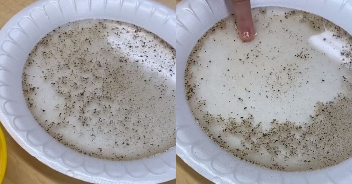 Florida Preschool Teacher Goes Viral With Science Experiment Video Showing Her Students The Importance Of Hand-Washing