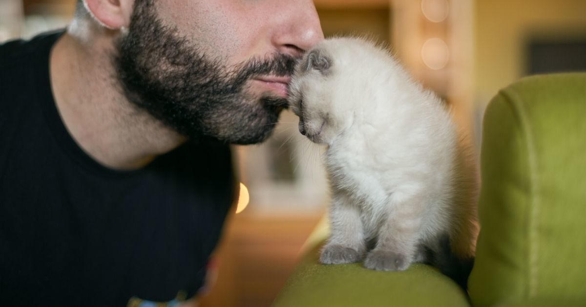 Woman At A Loss After Her 'Macho' Husband Is Racked With Guilt Over The Death Of His Cat