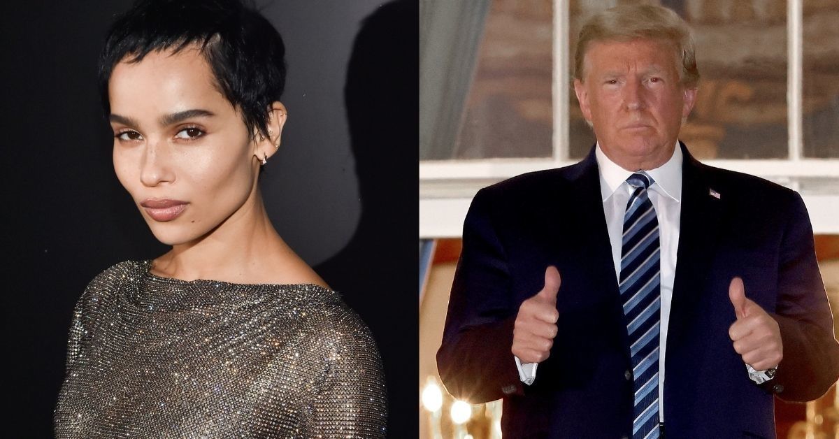 Zoë Kravitz Epically Trolls Trump By Showing Off Her 'Skin Care Routine' In Support Of Biden/Harris