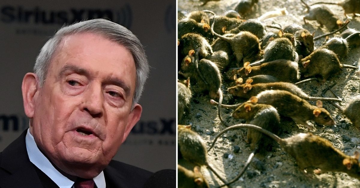 Dan Rather Perfectly Explains Why We Shouldn't Compare Republicans to Rats, And The Shade Is Real