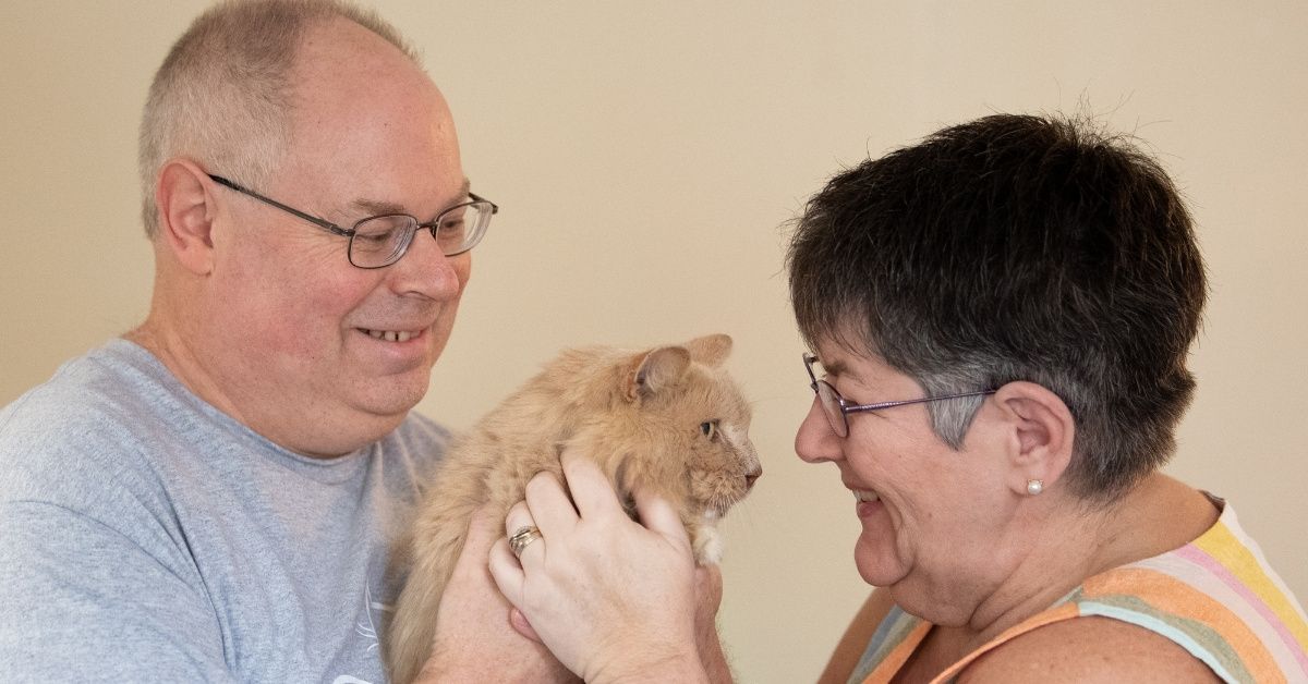 Cat Reunited With His Owners After Escaping From Their Home Nearly Three Years Ago
