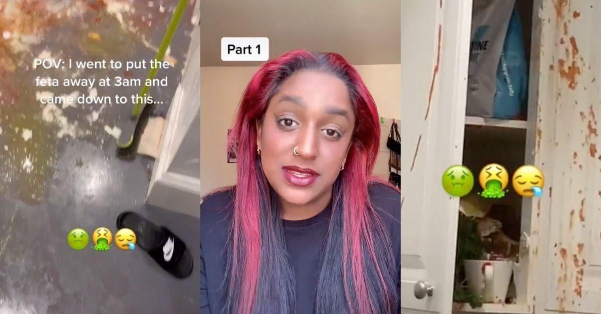 College Student Stunned After Finding Kitchen Totally Trashed By Guest Who She'd Kicked Out,