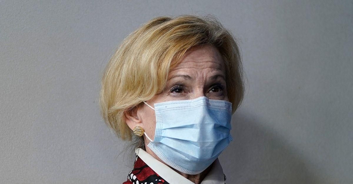 Dr. Birx Explains What Went Through Her Head When Trump Suggested 'Disinfectant' As Virus Cure