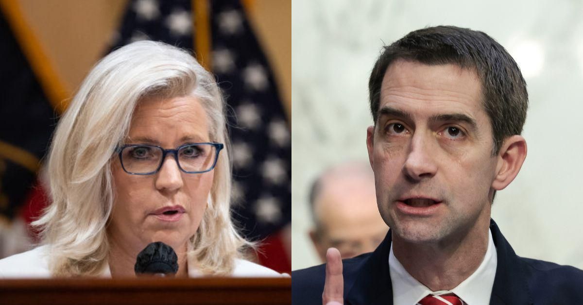 Liz Cheney Calls Out GOP Senator For Jan. 6 Committee Criticism In Brutal Tweet