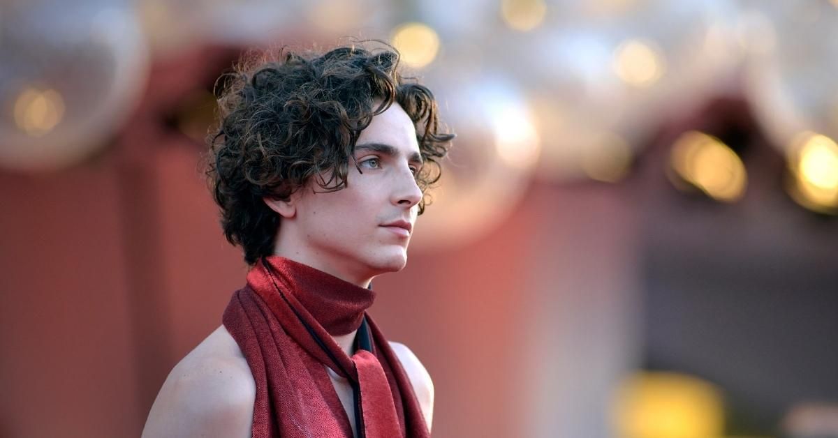 Timothée Chalamet Predicts 'Societal Collapse' Due To Social Media: 'It's Tough To Be Alive Now'
