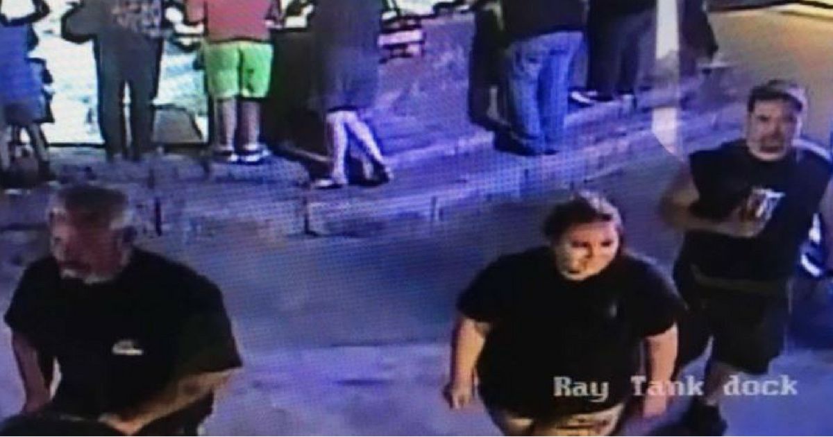 Thieves Just Tried To Pull Off A Shark Heist At An Aquarium In The Craziest Way 😮
