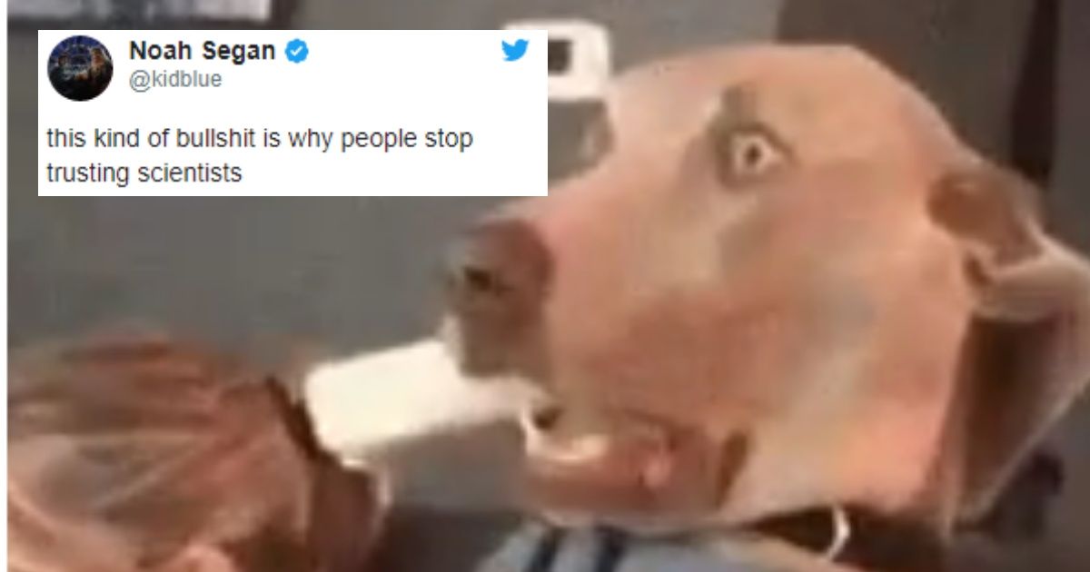 Scientific Study Concludes That Dogs Are 'Not Exceptional'—And The Reactions Are Priceless 😂