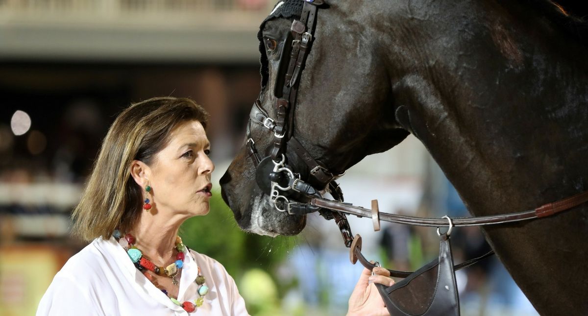 New Study Reveals Why You Should Never Frown At A Horse