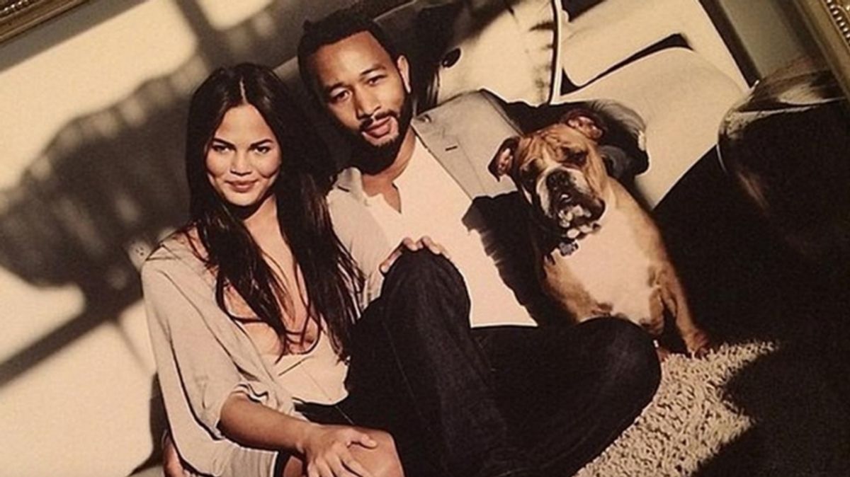 WATCH: Chrissy Teigen Shares Update on Beloved Bulldog's Health