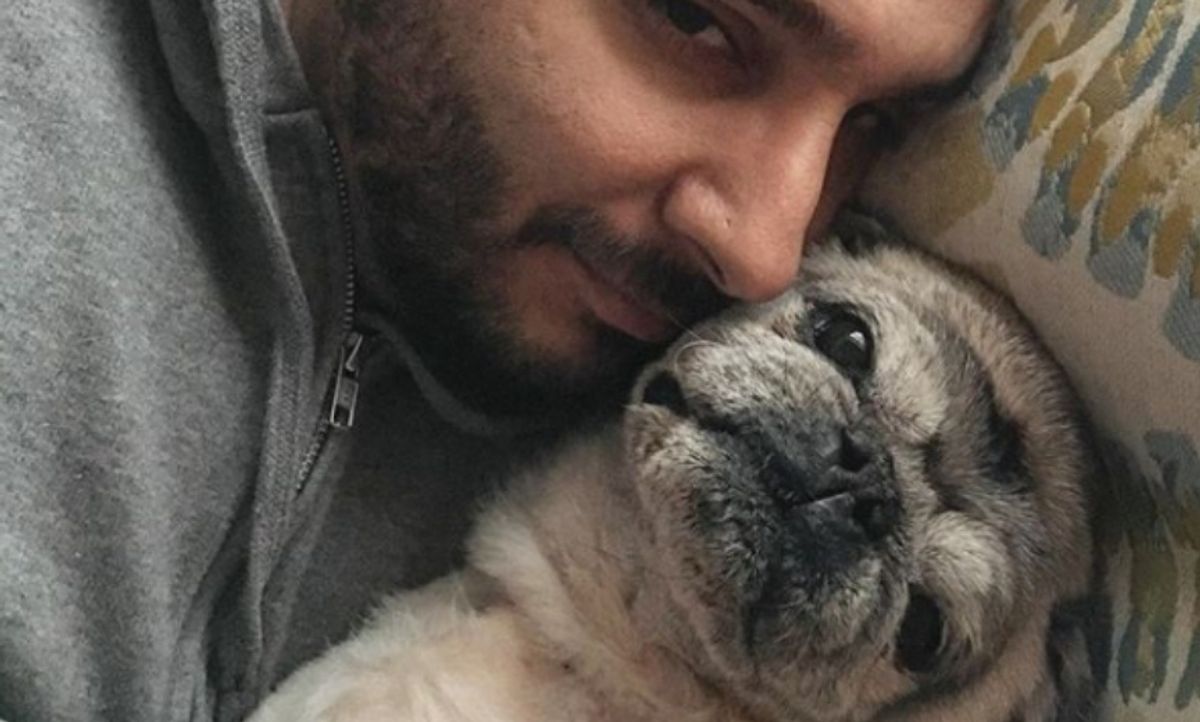 Animal Rescue Center Uses A Mannequin Look-Alike To Cure Pug's Separation Anxiety From Its Owner