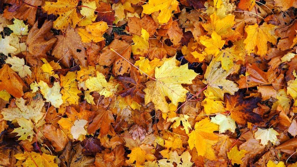 November 2017: 3 Fast Facts