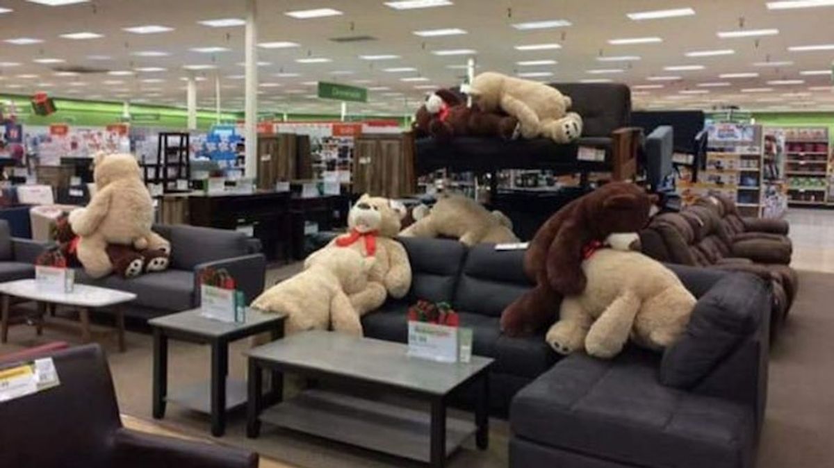 PHOTO: NSFW Naughty Teddy Bears Caught in Sex Positions in Store