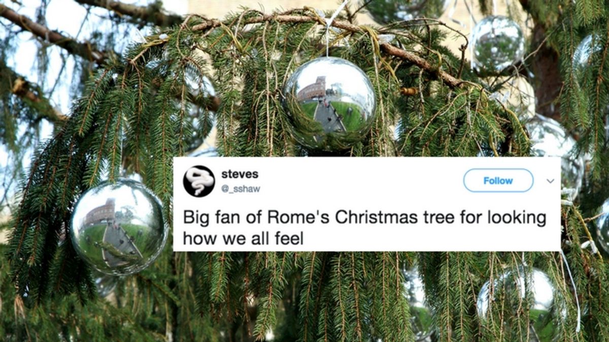 PHOTOS: Rome's $57,000 Christmas Tree is Already Dead
