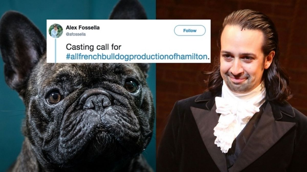Comedian Casts All-French-Bulldog Version of 'Hamilton'