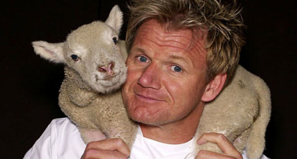 Gordon Ramsay Cracks Joke About Vegans, & Backlash Was Swift