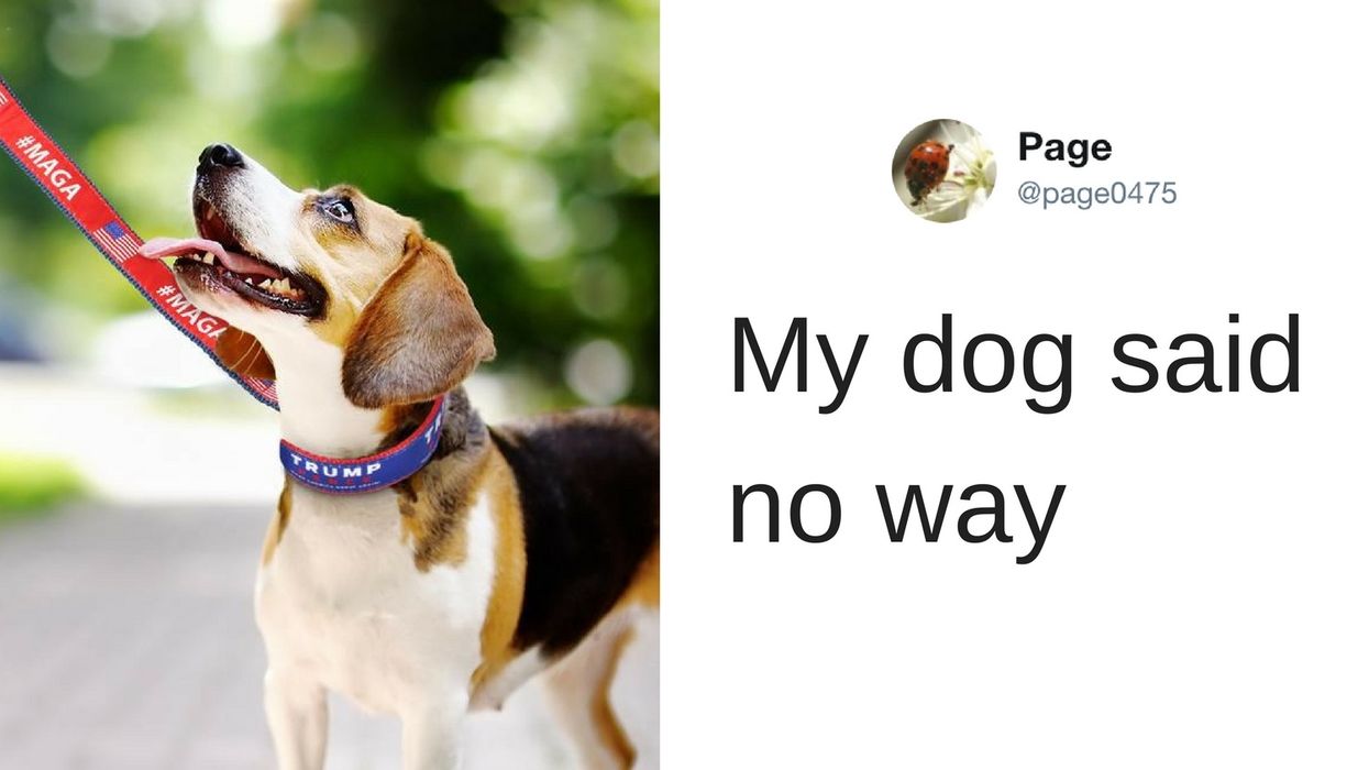 The RNC Tried to Sell a Trump Leash for National Puppy Day—It Didn't Go Well
