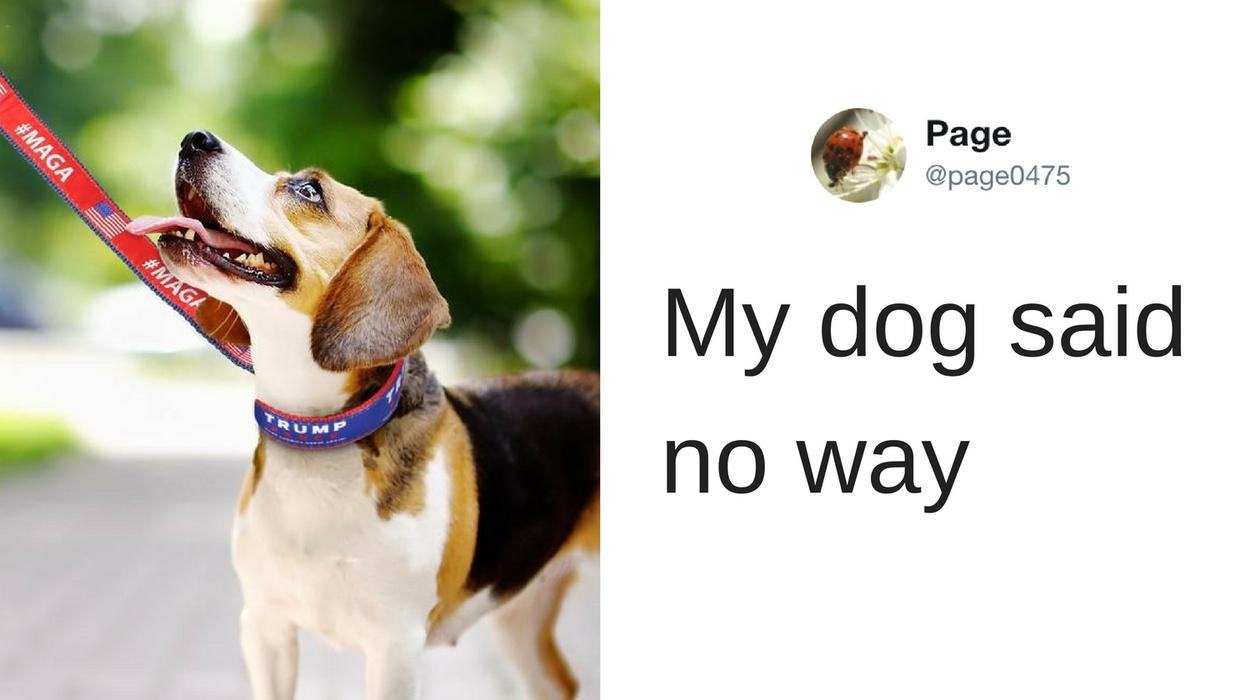 The RNC Tried to Sell a Trump Leash for National Puppy Day—It Didn't Go Well
